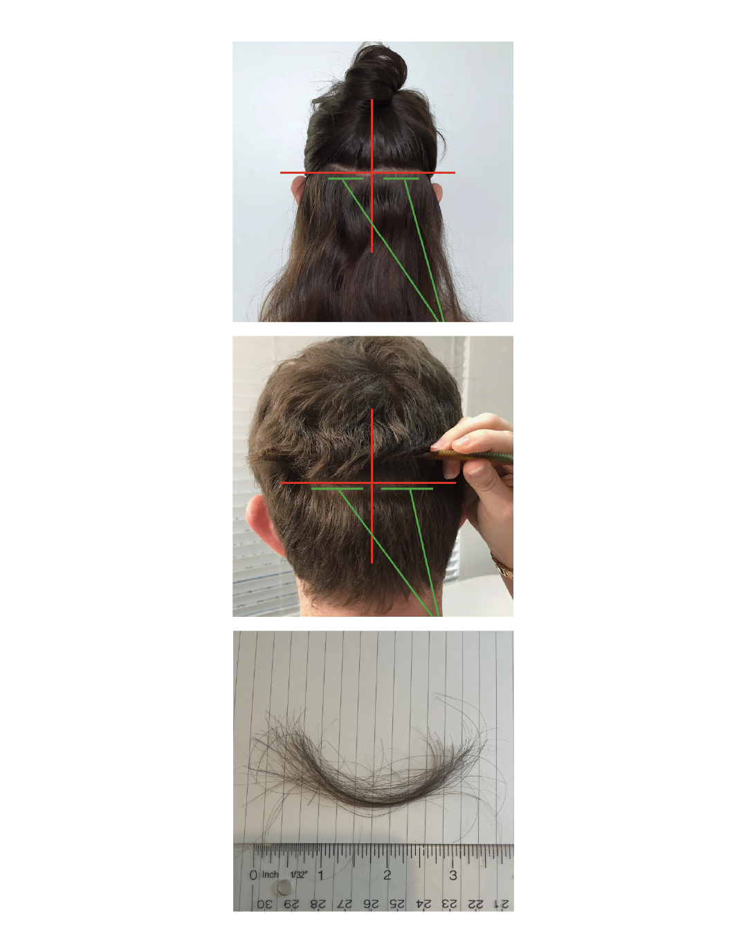 Hair Tissue Minerals & Toxic Metals Test
