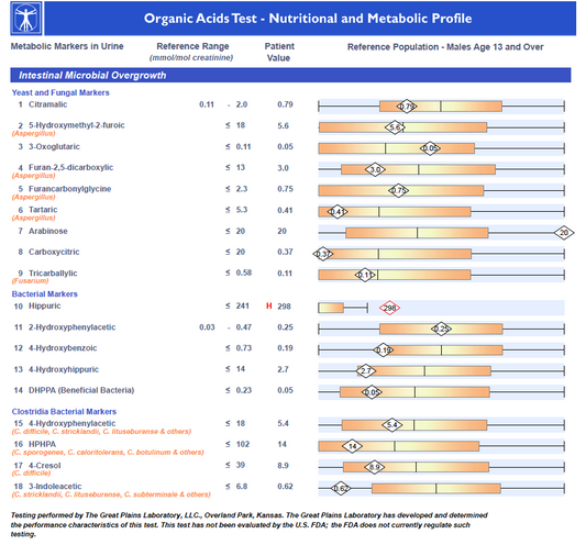 Organic Acids: Gut Microbiome Test (Candida, Metabolic & Vitamins)