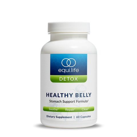 Healthy Belly by Equi.life